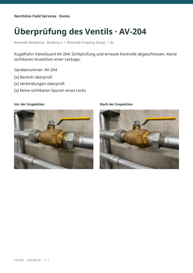 PDF report